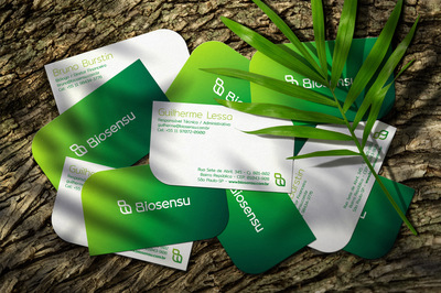 Biosensu環(huán)境咨詢公司 引領(lǐng)可持續(xù)未來的環(huán)保智慧